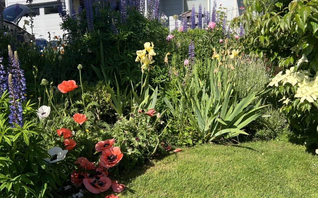 Building Wildlife-Friendly Gardens:  A Guide to Attracting Native Birds, Pollinators, and Bees in Nanaimo