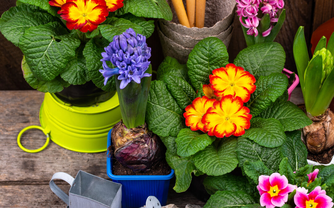 Natural Beauty Meets Local Wisdom: Naturalistic Landscaping in Nanaimo