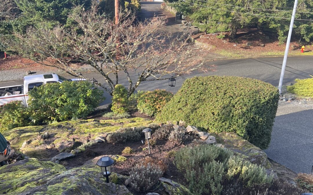 Late Winter Landscape Care