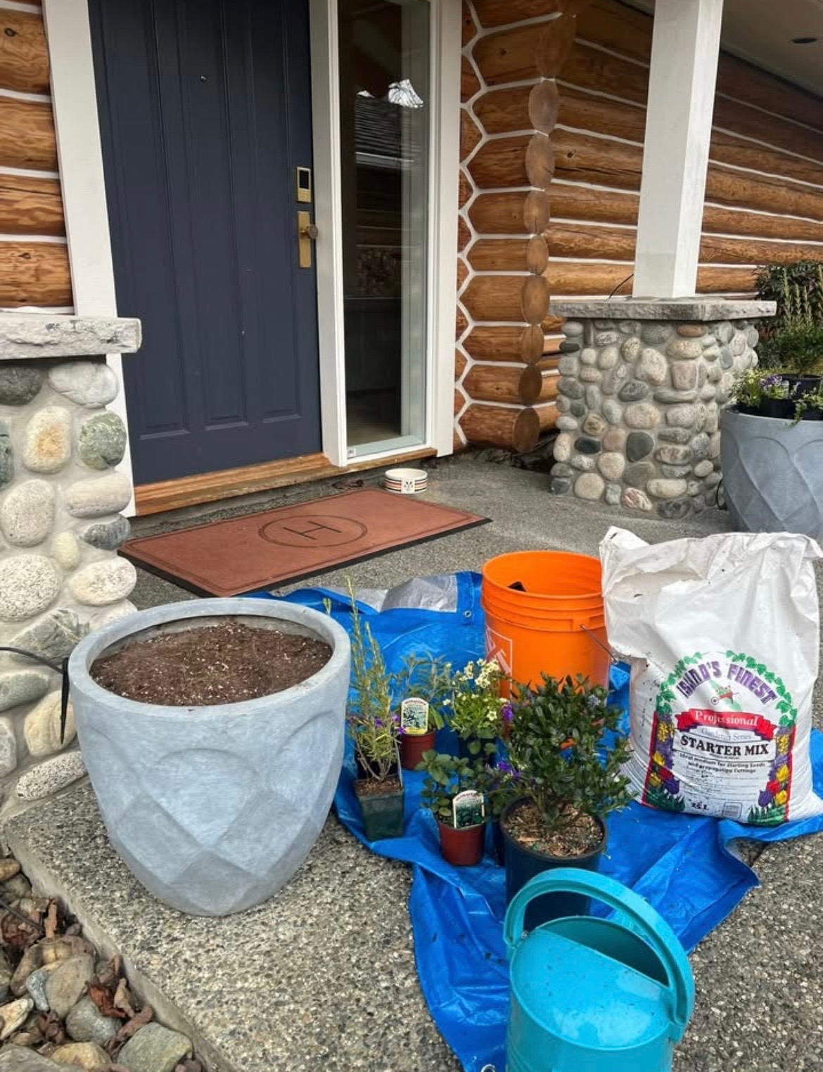 A fresh planter visit in progress on a Nanaimo log home porch