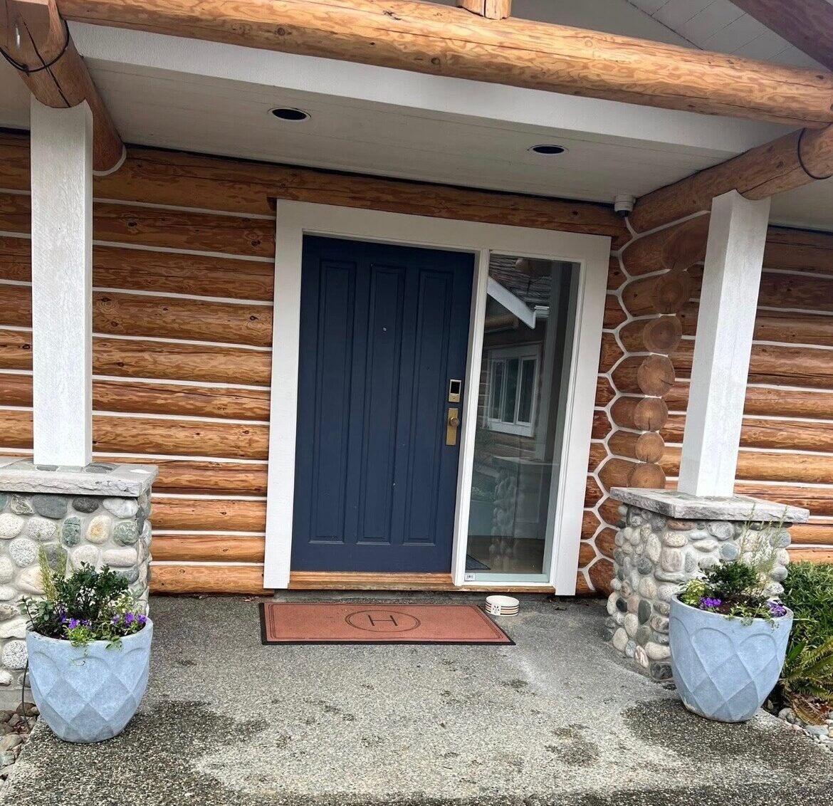 Glossy cobalt-blue ceramic urn with burgundy cordyline against weathered cedar siding